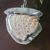 Ocean Picture Rock Shell Necklace